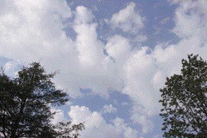 Clouds 2, own work. Depicts an interspersed, puffy cloud cover over a few trees, with an upwards perspective. Clouds 2, own work. Depicts an interspersed, puffy cloud cover over a few trees, with an upwards perspective.